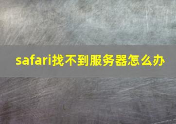 safari找不到服务器怎么办