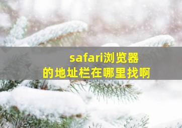 safari浏览器的地址栏在哪里找啊