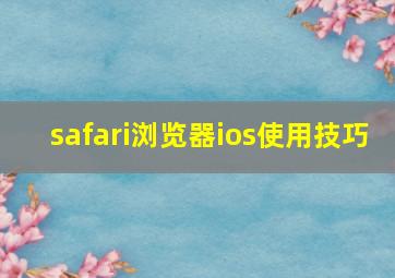 safari浏览器ios使用技巧