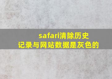 safari清除历史记录与网站数据是灰色的