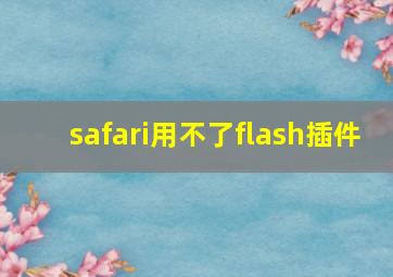 safari用不了flash插件