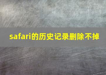 safari的历史记录删除不掉