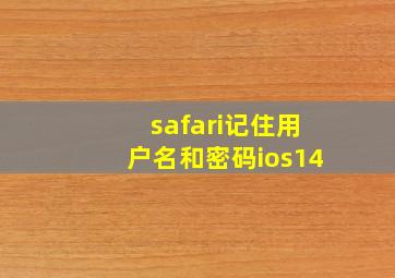 safari记住用户名和密码ios14