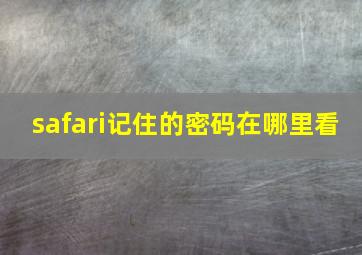 safari记住的密码在哪里看