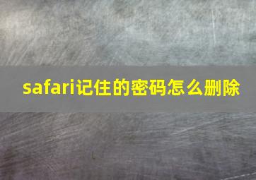 safari记住的密码怎么删除