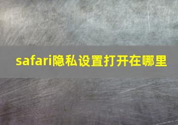 safari隐私设置打开在哪里