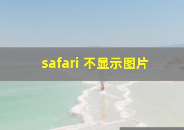 safari 不显示图片