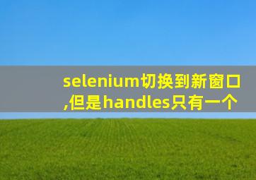 selenium切换到新窗口,但是handles只有一个