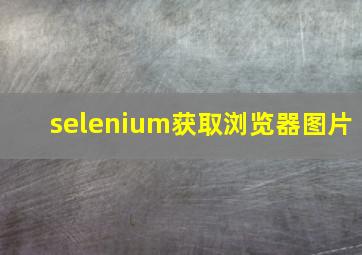 selenium获取浏览器图片