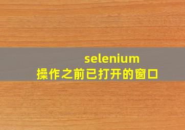 selenium 操作之前已打开的窗口