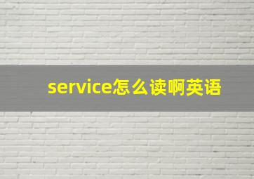 service怎么读啊英语