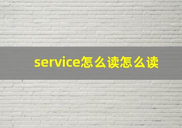 service怎么读怎么读