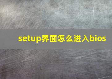 setup界面怎么进入bios