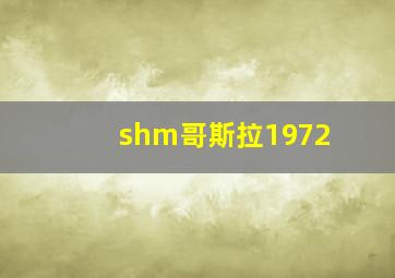 shm哥斯拉1972