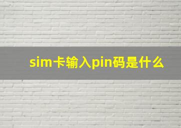 sim卡输入pin码是什么