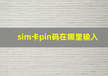 sim卡pin码在哪里输入