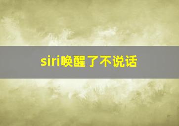 siri唤醒了不说话