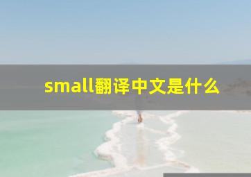 small翻译中文是什么