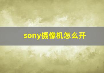 sony摄像机怎么开