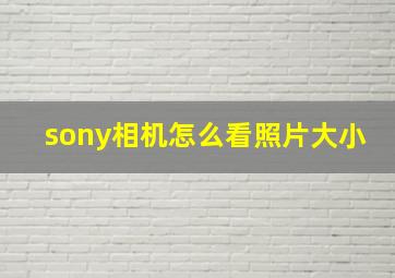 sony相机怎么看照片大小