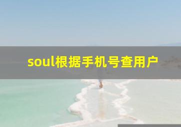 soul根据手机号查用户