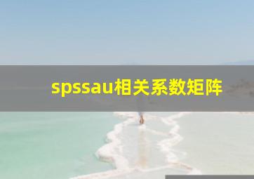 spssau相关系数矩阵