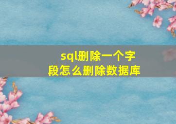 sql删除一个字段怎么删除数据库