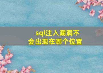 sql注入漏洞不会出现在哪个位置