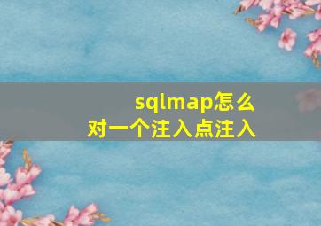 sqlmap怎么对一个注入点注入