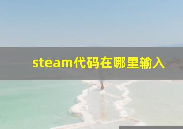 steam代码在哪里输入