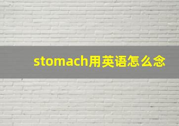 stomach用英语怎么念