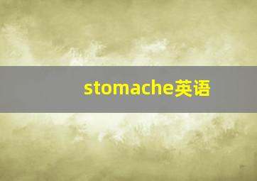 stomache英语