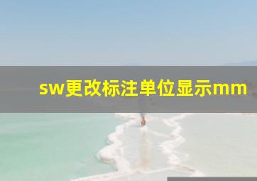 sw更改标注单位显示mm