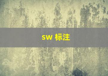 sw 标注