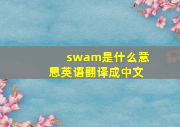 swam是什么意思英语翻译成中文