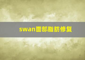 swan面部脂肪修复