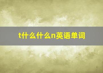 t什么什么n英语单词