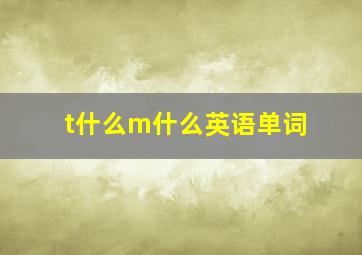 t什么m什么英语单词