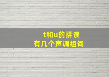 t和u的拼读有几个声调组词