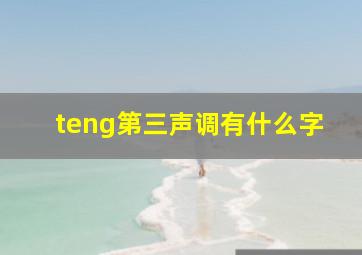 teng第三声调有什么字