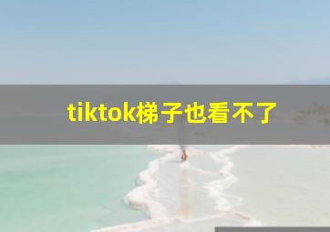 tiktok梯子也看不了