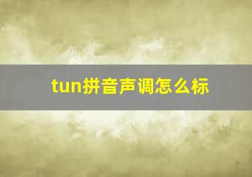 tun拼音声调怎么标