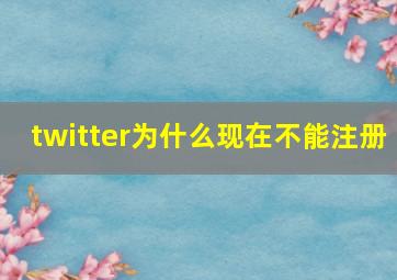 twitter为什么现在不能注册