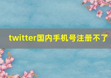 twitter国内手机号注册不了