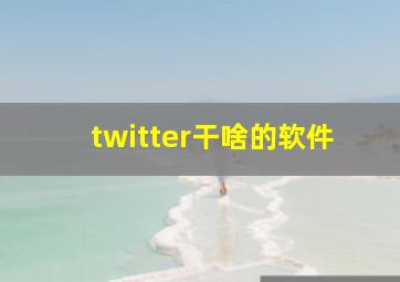 twitter干啥的软件