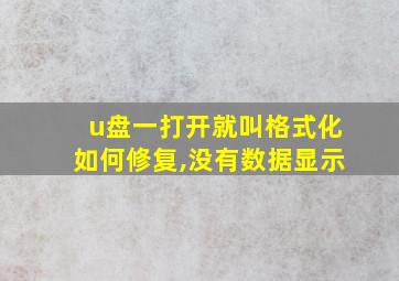 u盘一打开就叫格式化如何修复,没有数据显示