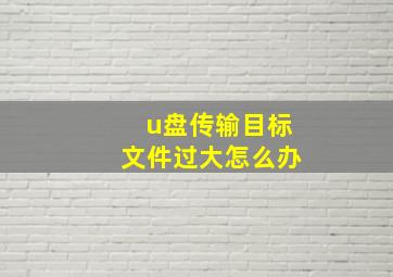 u盘传输目标文件过大怎么办