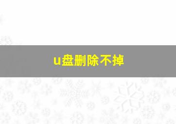 u盘删除不掉