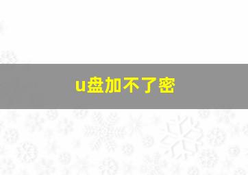 u盘加不了密