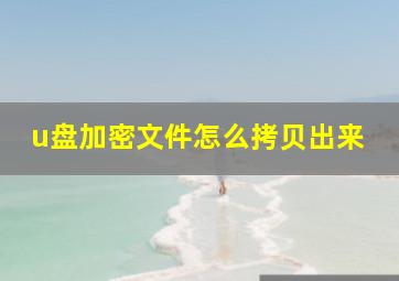 u盘加密文件怎么拷贝出来